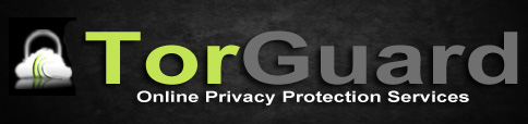 torguard-vpn-for-torrenting